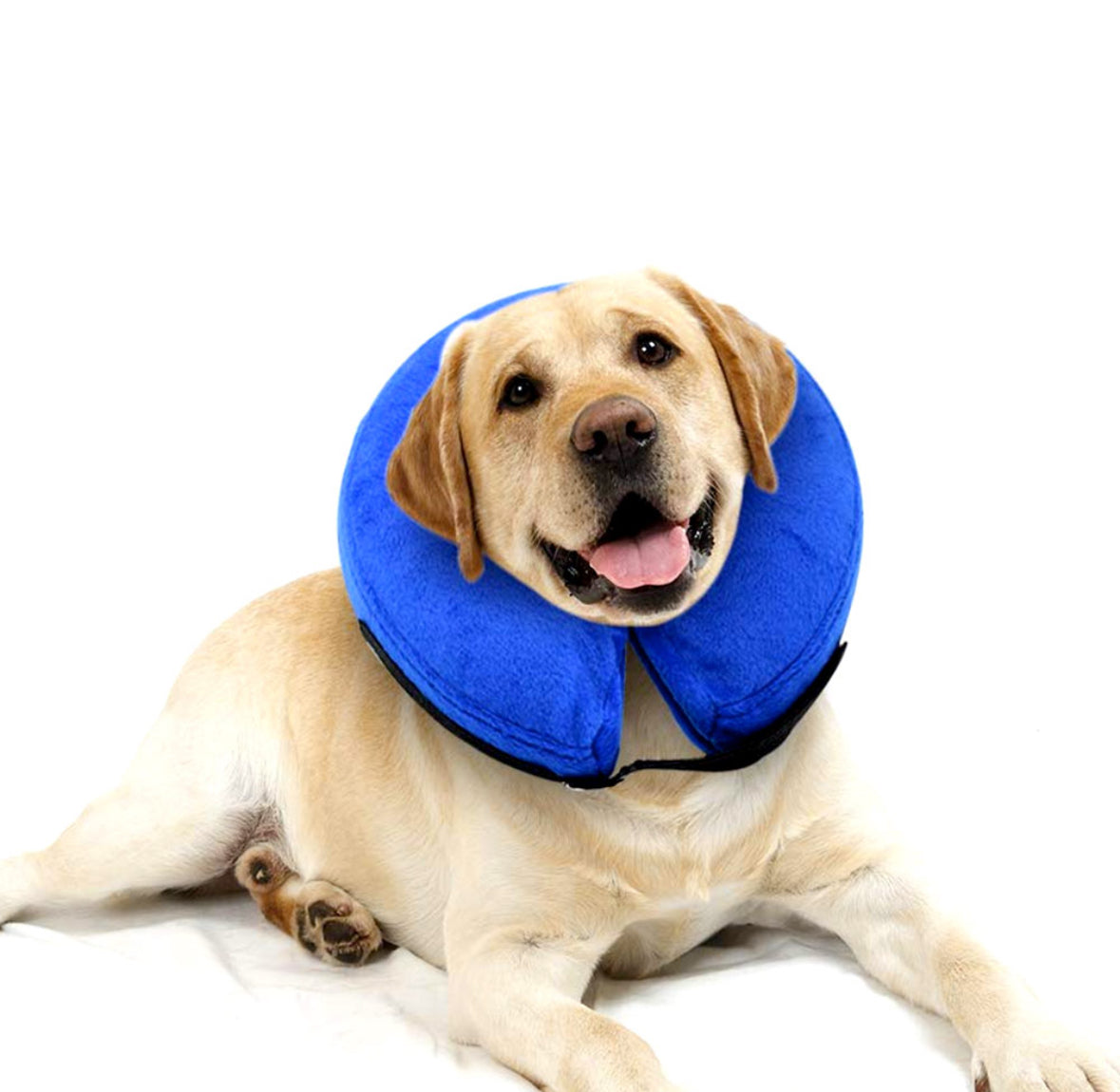 Dog Collar After Surgery Protective Soft Blow Up Collar For Pet Recovery